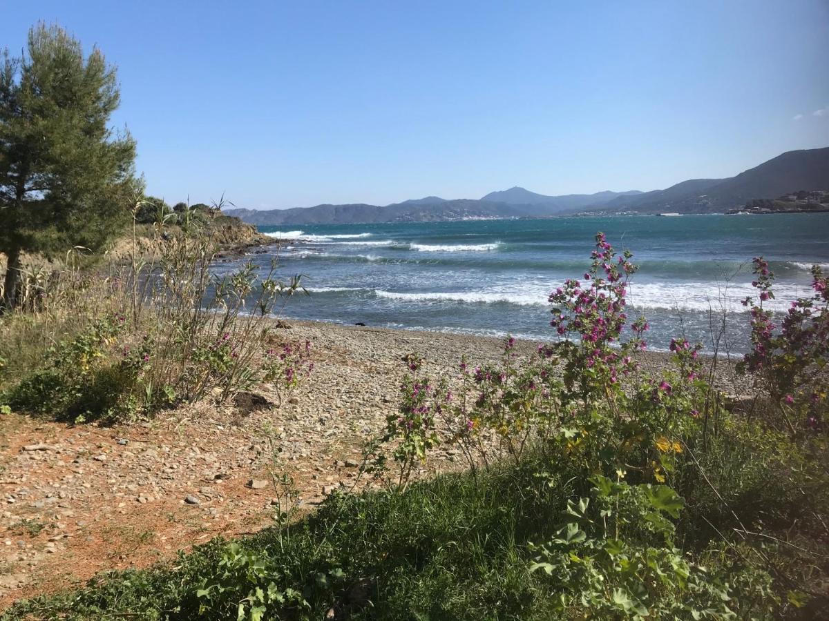 A Chic Four-Person Apartment By The Beach At Cap Ras Llança Eksteriør bilde
